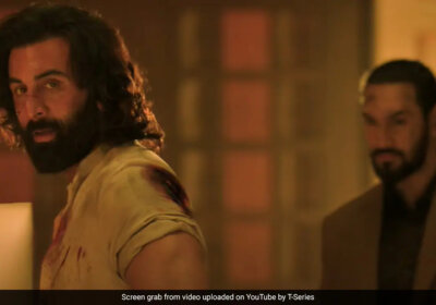 Animal Teaser Released : The Ranbir Kapoor movie looks fierce
